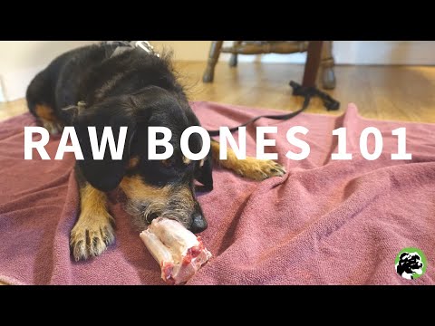 Video: Raw Bones: Naozaj Praskajú?