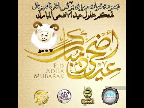 عمر عجي | زفة الحجاج