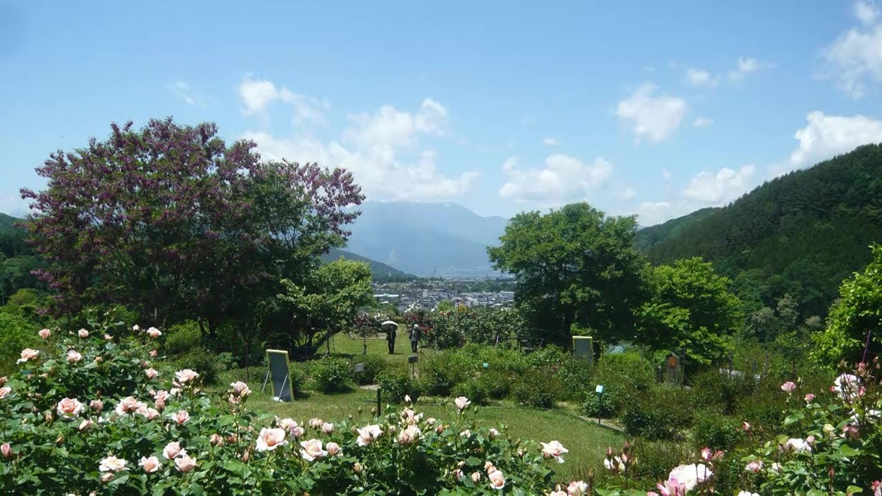 高遠しんわの丘ローズガーデン