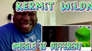The best of Kermit on Omegle (so far) | Reaction
