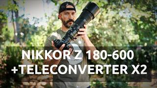 Nikkor 180-600 Z + Teleconverter x2 ¿Qué tal se comportan juntos?