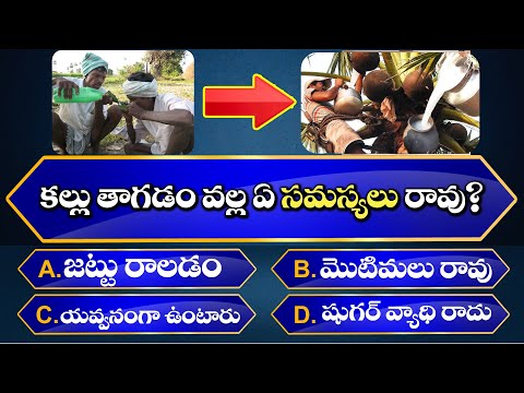 Interesting Questions In Telugu I| Episode-185 || Unknown Facts || GeneralKnowledge ||Telugu Quiz