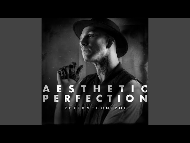Aesthetic perfection - rhythm & control (out of control mix)