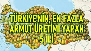 Türkiyenin En Fazla Armut Üreten 5 İli 2026