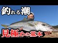 【教えてくれない極意】青物が釣れる潮・流れの基本を徹底解説！