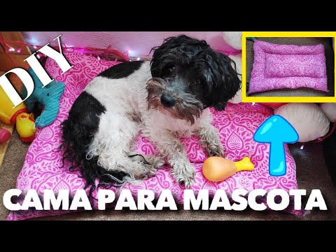 Video: ¿Qué es una buena ropa de cama para casetas de perro?