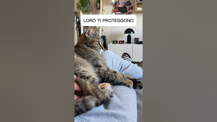 I gatti ci vedono come un loro genitore?