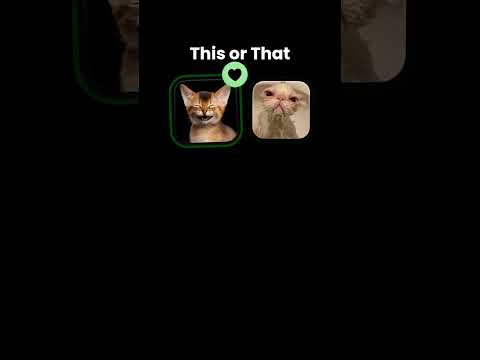 انا هختار مين