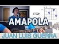 Amapola Juan Luis Guerra Tutorial Cover - Acordes [Mauro Martinez]