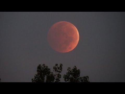 Lunar Eclipse 10/8/2014 - Photos & Time Lapse