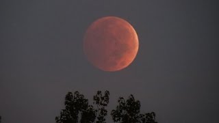 Lunar Eclipse 10/8/2014 - Photos & Time Lapse