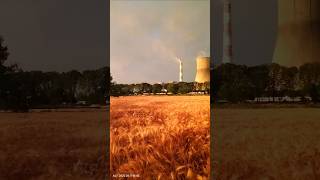 gehu ke khet mein jo kangi kare hawaye status #shorts Thumb