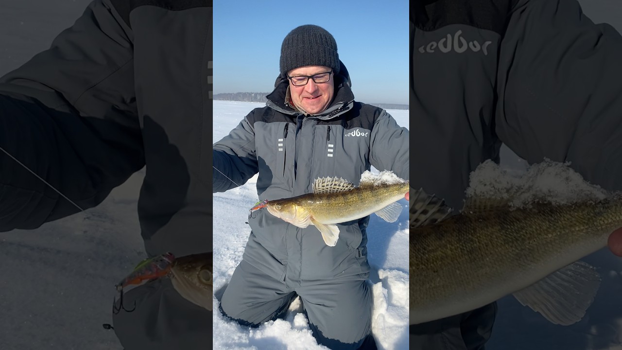 Фёдорович, СУДАК в ГЛУХОЗИМЬЕ , Wagner vib 