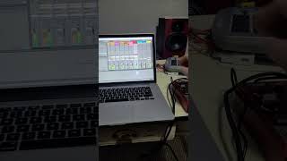 Acid from the archive 303 break