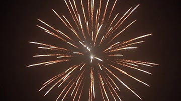 5 Inch Display Shells - Triplex