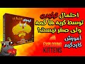 آموزش Exploding Kittens گربه های انفجاری کاردگیمی که همه باید یاد داشته باشن