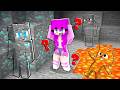 ENES VE BEBEK SONİC ARKADAŞLARIYLA KAMUFLAJ SAKLAMBAÇ OYNADI 😱 Minecraft