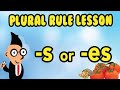 Spelling Rules for Plurals Ending in 'O'