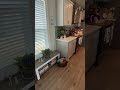 Could you Live in this 399sq ft Tiny Home?