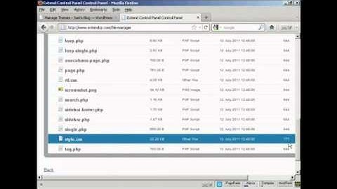 How to Edit WordPress Theme CSS Styles