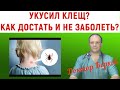 Укусил клещ! Что делать? Куда бежать?