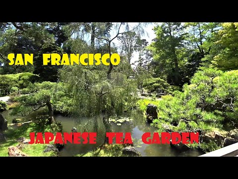 Video: Průvodce japonskou čajovou zahradou v parku Golden Gate