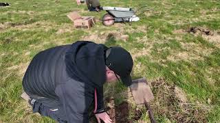 Tree Planting with Pip and Sam (We need more trees) #woodlandtrust