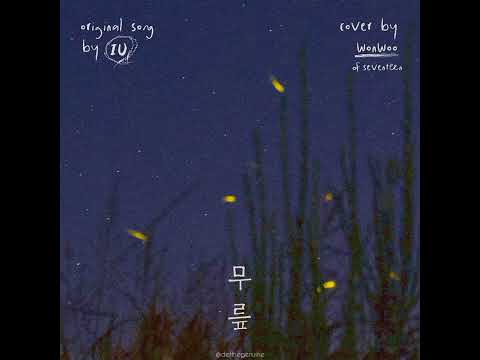 [cover] Jeon Wonwoo (SEVENTEEN) ft. IU - Knees