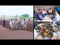   a day life of indian farmer  vavani  peanut farming  farmers life in gujrat
