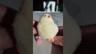 TABA SQUISHY REVIEW 🐔