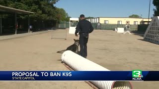 New California bill would ban K-9 officer arrests, crowd control