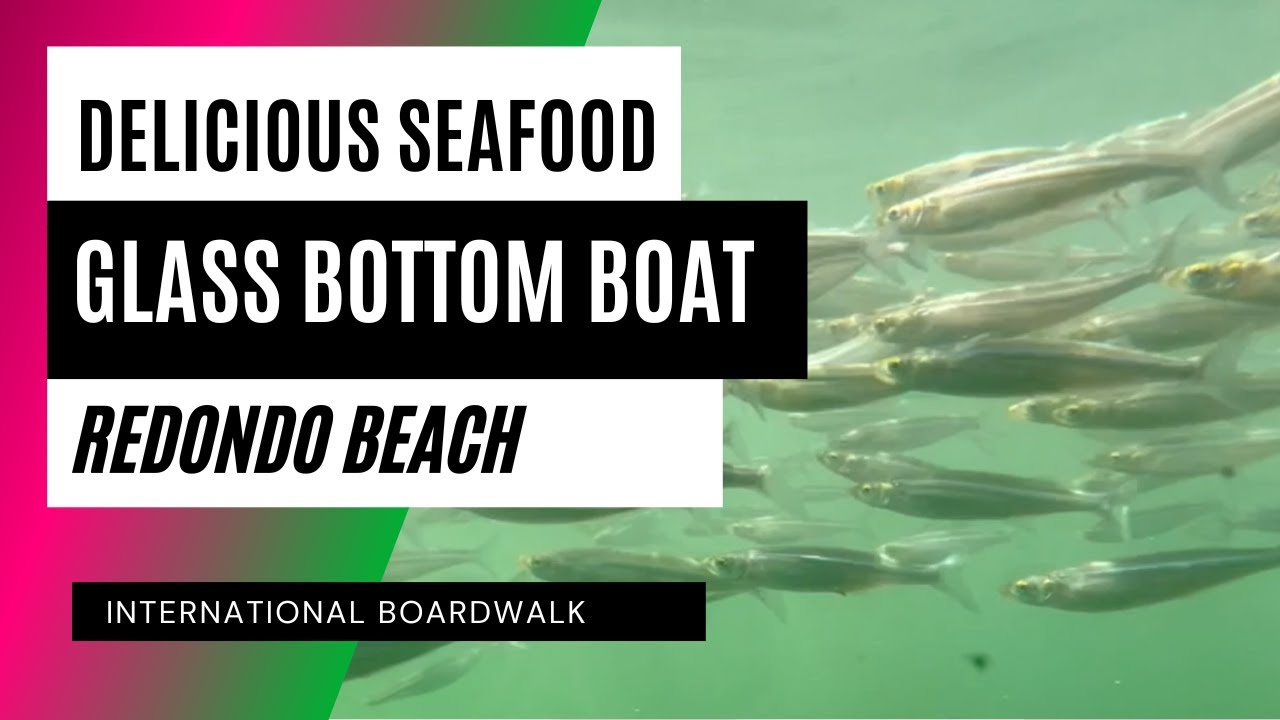 experience with Redondo Beach's Glass Bottom Boat! And