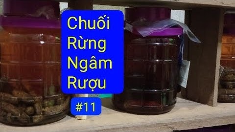 Cách Ngâm Rượu Chuối Hột Rừng Hướng Dẫn Chi Tiết Theo Chuỗi Video Ngâm Rượu #11 ‎@Hai Móm Official