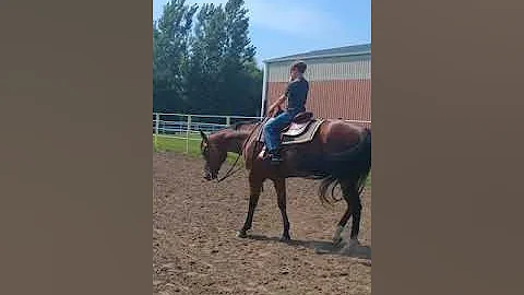 Evan loping Bruno