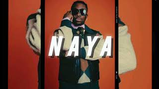 Afrobeat instrumental 2024 | Burna boy ft Omah lay & Rema type beat -