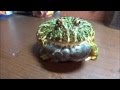 ベルツノガエルの鳴き声　The cry of a ornate horned frog