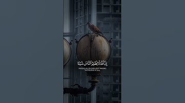 اكتب شيء تؤجر عليه 🩶😴 #القارئ_عبدالرحمن_مسعد #karim_quran_1