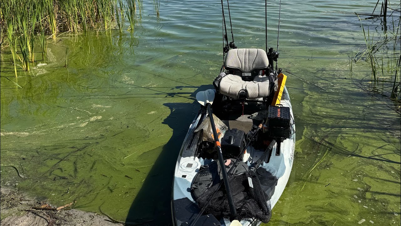 Spring time bass fishing! 2025