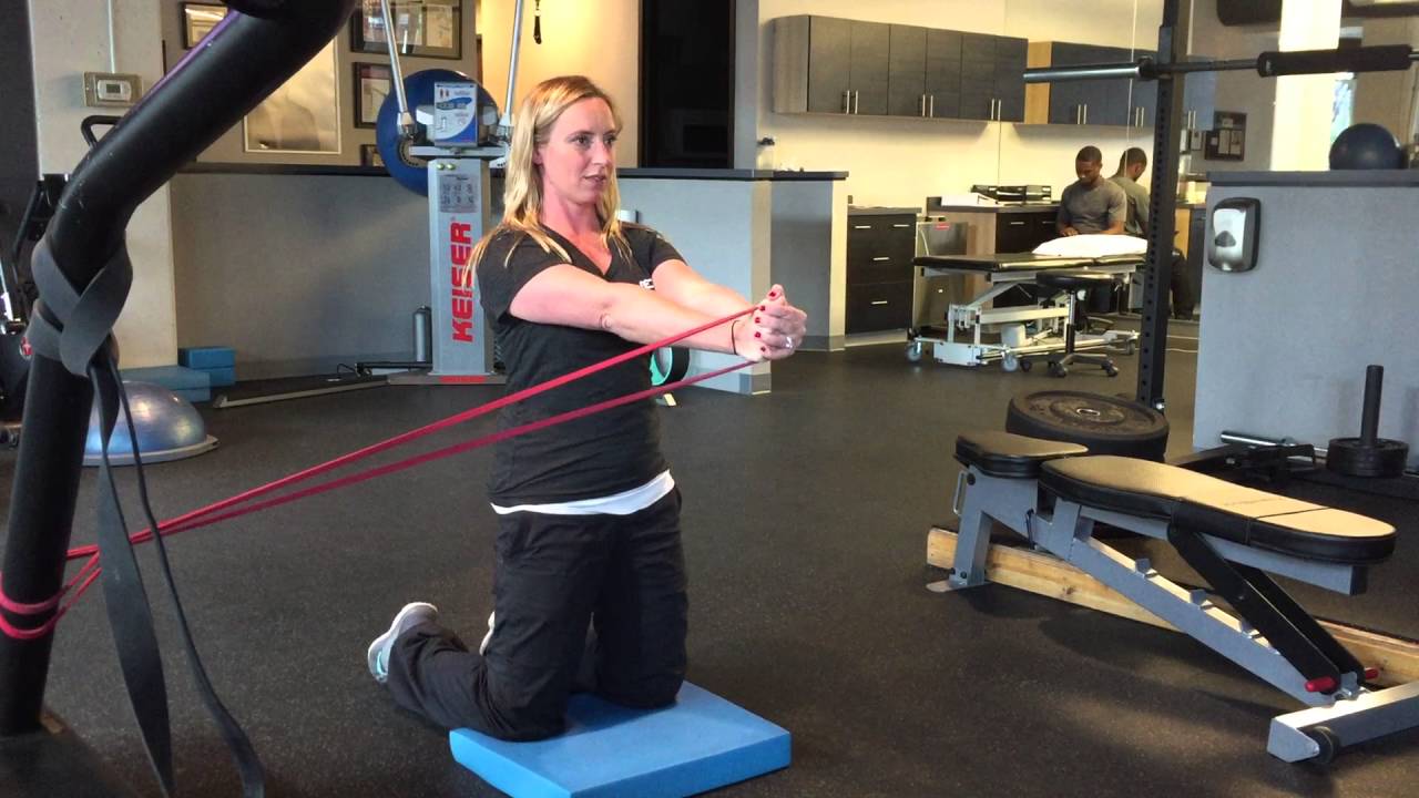 My Favorite Core Exercise: The Pallof Press - Positive Energy Physical  Therapy