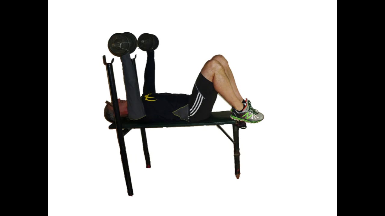 Banco de pecho con mancuernas gift