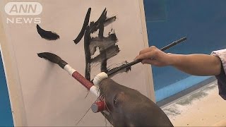 筆をくわえ　アシカが書く「今年の漢字」は？(15/12/28)