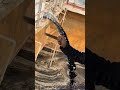 Flocculant" "Polyacrylamide" "Wastewater Treatment Agents" "Water#shorts #viral #viralvideo#water