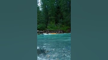 راحة نفسية ☘️حالات واتس اب قرآن كريم تلاوة مؤثرة بصوت جميل Quran ⚘️ ♥️