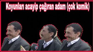 Koyunları çağıran adam (çok komik)