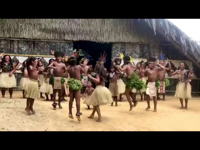 Guarda Kevin Keew surprise by Tatuyo Tribe from Amazon rainforest in Brazil su YouTube Guarda Kevin Keew surprise by Tatuyo Tribe from Amazon rainforest in Brazil su YouTube