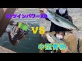 【21ツインパワーXD】 ツインパワーXDで青物とバトルしまくった結果・・・・ 【インプレ】