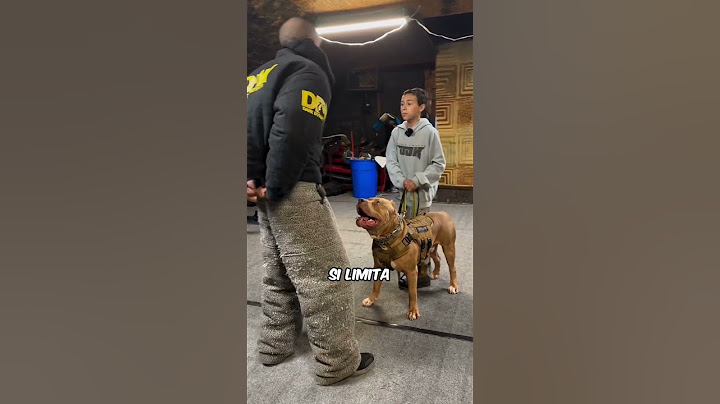 CANE MILITARE mostra di cosa è CAPACE...💥😨