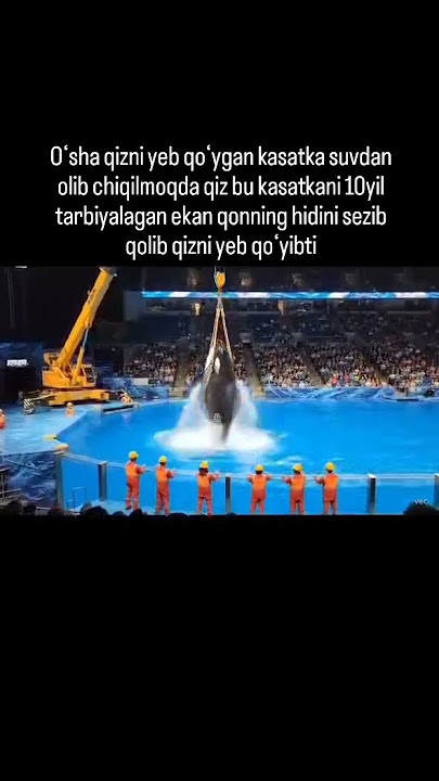 DAXSHAT OSHA QIZ BOQQAN DELFEN😱 #rek #love #funny #trending #comedy #like #memes #shorts #reels