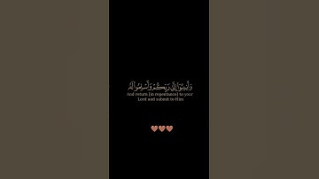 سورة الزمر / القارئ حمزة بوديب / تلاوة خاشعة تريح سمعك وقلبك