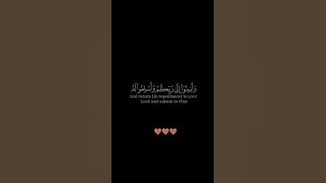 سورة الزمر / القارئ حمزة بوديب / تلاوة خاشعة تريح سمعك وقلبك